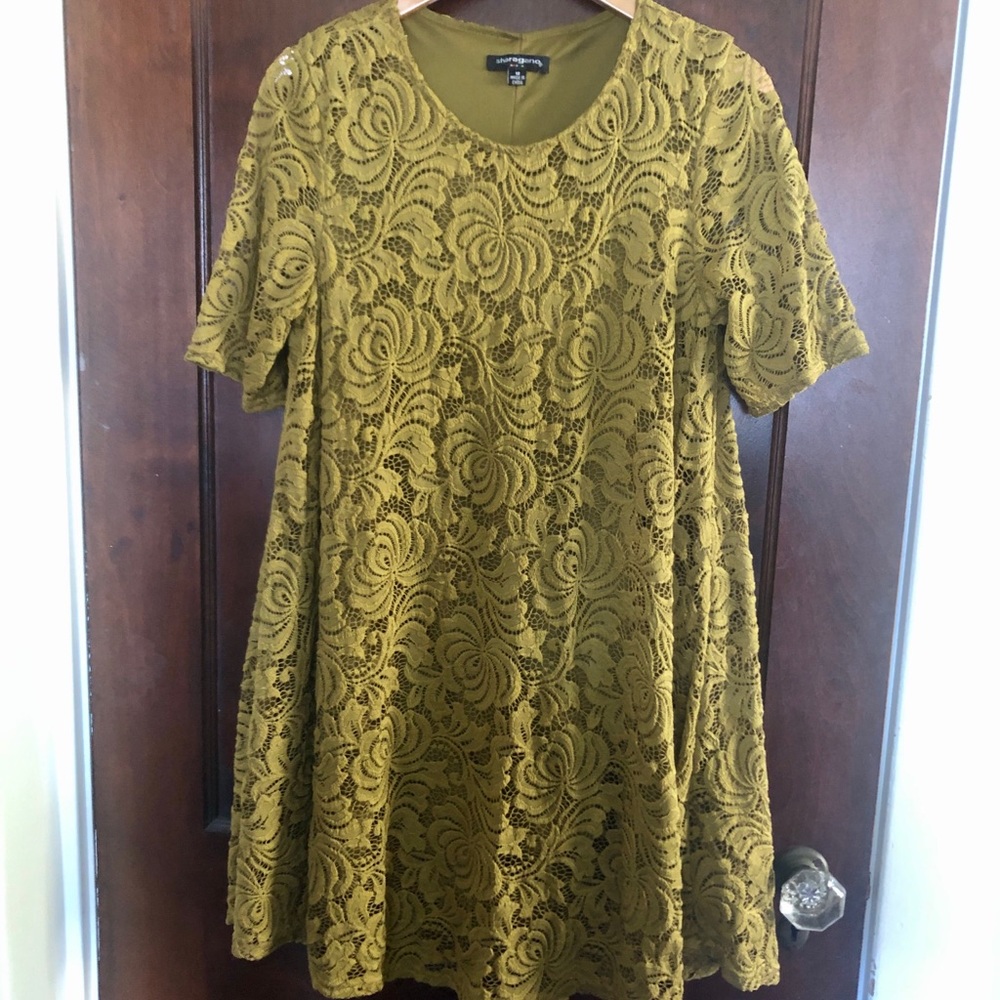 Olive Green Lace Over Lay Dress